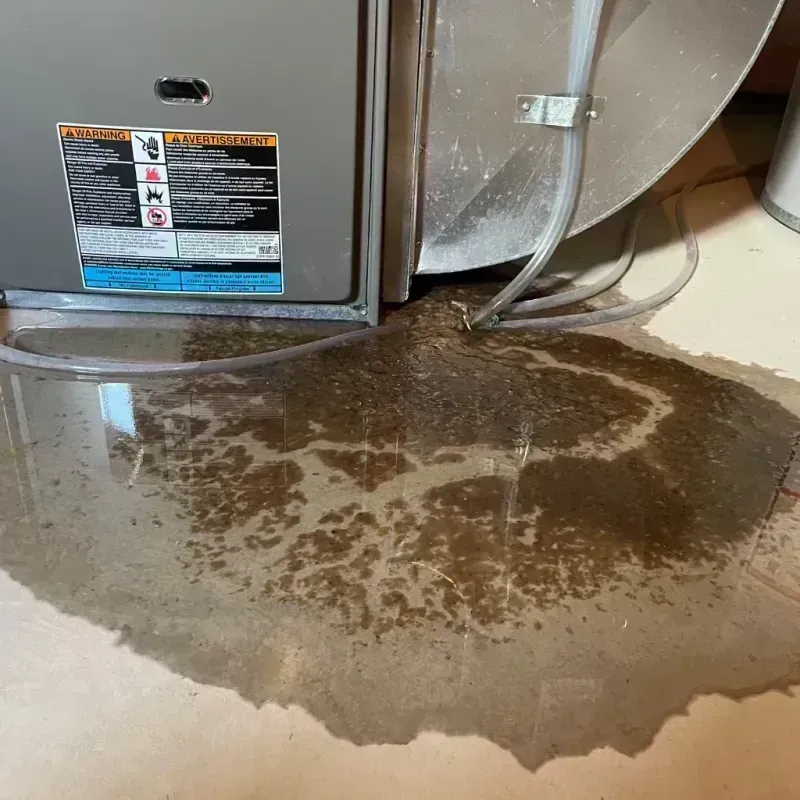 Appliance Leak Cleanup in Momence, IL